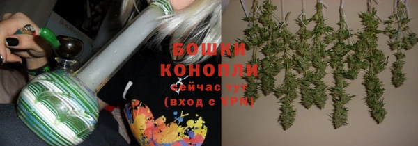 ПСИЛОЦИБИНОВЫЕ ГРИБЫ Березники