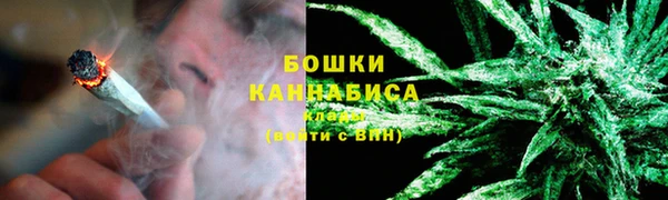 ПСИЛОЦИБИНОВЫЕ ГРИБЫ Березники