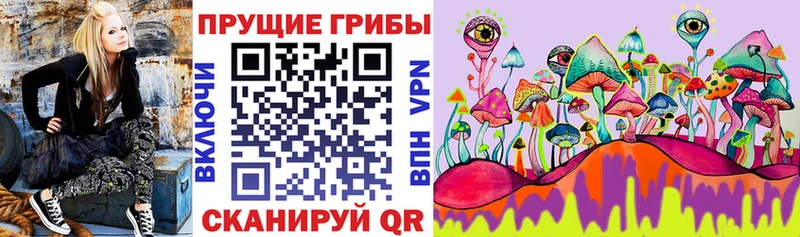 Галлюциногенные грибы Cubensis  наркота  Ростов-на-Дону 