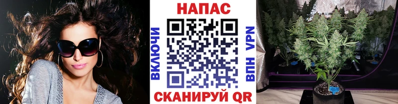 закладки  Ростов-на-Дону  Каннабис MAZAR 